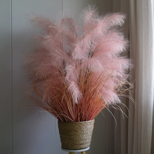 �����JȔ���ٻ��ɻ���ɫ����Ȕ��ë�����͏d�҃Ȕ[����������b�