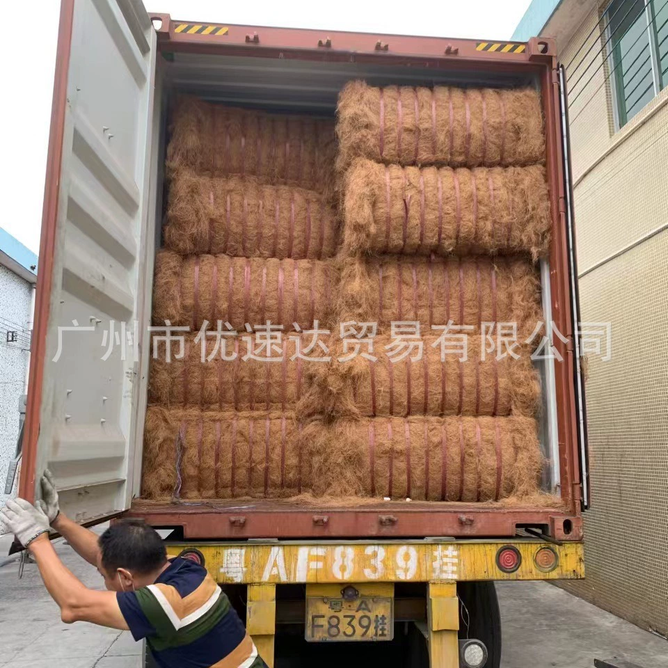 Зеленое растительное покрытие кокосовой пальмы семян шелковой травы для предотвращения эрозии почвы кокосовое пальмовое волокно травы волокна Шелкового гриба посадочный материал