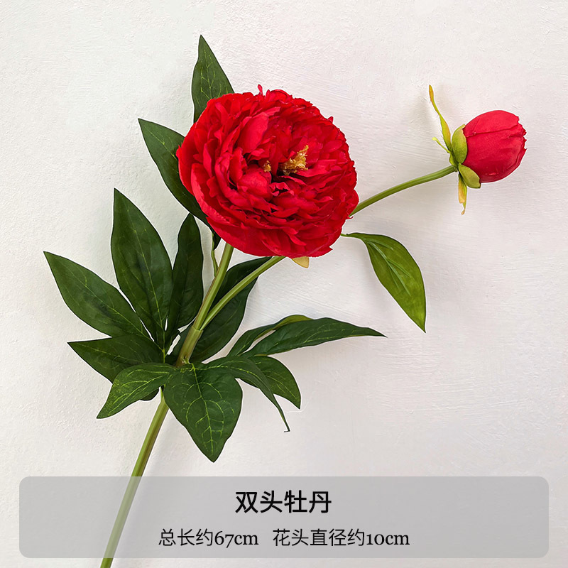 1 flor de peônia vermelha de duas cabeças