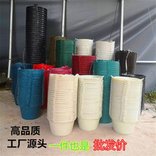 ͰˮͰͰţɳͰţͰؽBb{ͰƤͰ