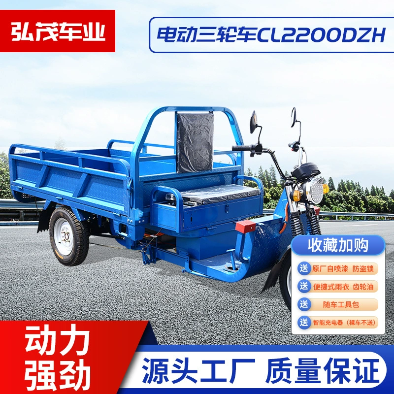 Электрический трехколесный велосипед Changzhou может быть на национальном стандарте, экспресс-товары, бытовые сельскохозяйственные стойки, нагрузка на Аккумуляторный автомобиль Load King