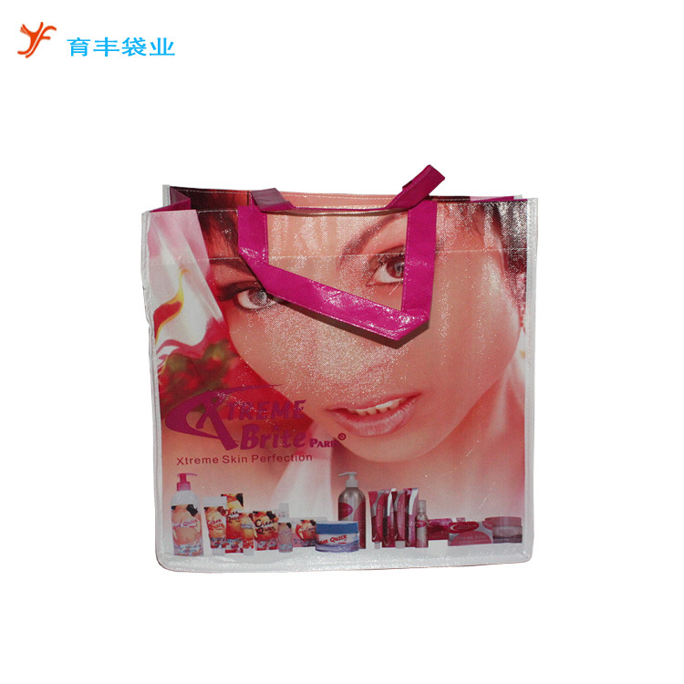 广州厂家制作环保购物袋 动漫彩图广告袋 防水大容量礼品袋