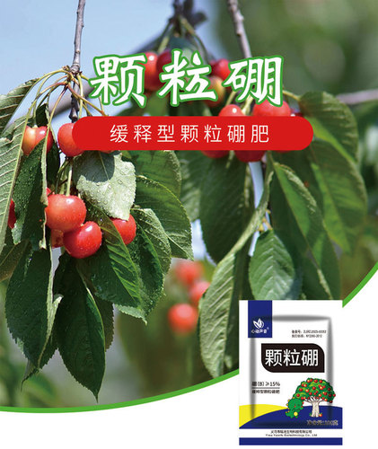 Granular boron trace element slow-release fertilizer for vegetables, fruits, flowers, green plants, potted gardening general fertilizer directly supplied from the manufacturer