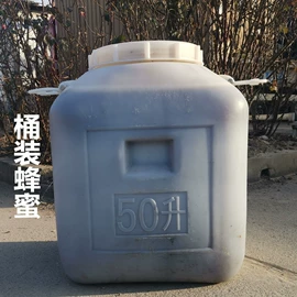 蜂蜜;蜂皇浆
