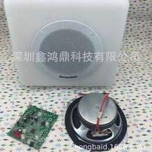 �{Ѵɽ�����p��4.05.0�{������DSP\DSD\DAC��aPCB�Ŀ�����_�l