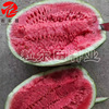 Golden City No. 5 watermelon seeds resistant to barren, drought, drought, lazy watermelon seeds, stone melons, big fruit sand, watermelon watermelon
