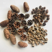 松果手工diy材料木段酒店创意干支枝条制果软装标本松塔民宿松子
