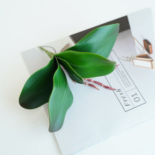 �ָ�pu�����m�~�ӷ��������m���~��ʽ5Ƭ�����m�~�ӷ��滨���l