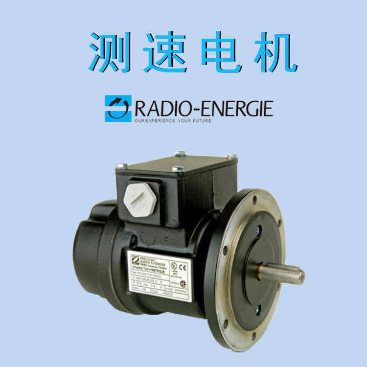 雷恩测速电机法国原装进口开地电子编码器代理RE.02201CB0.02特殊