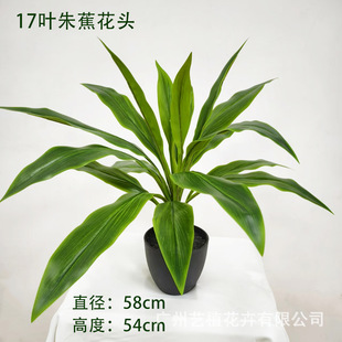 ����������~�콶ֲ���҃������T�Ȼ��@�쾰��ˇ�b�֧�ִ��l