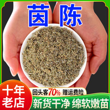 茵陈500g中药材白蒿茵陈大枣茶因陈中药绵茵陈的功效与作用棉茵陈