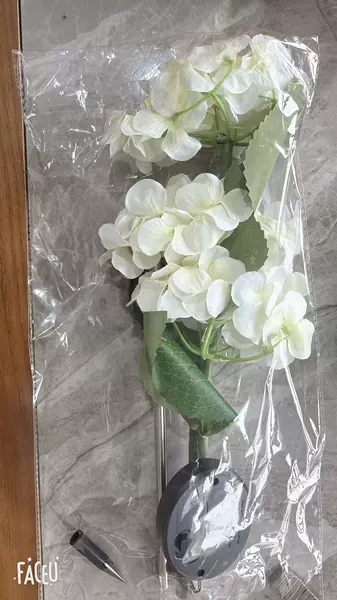 3 heads hydrangea white
