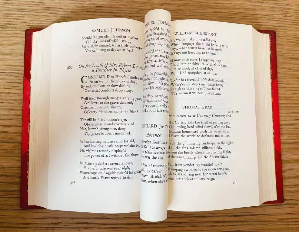 O1CN01FDvjOU2AVJstoGsN9_!!9976