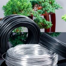 ��֦���;�ľ�P���z�X�z���Զ��͈@ˇ��֦���ܲ����F�z�ɘ��X�l