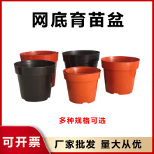 �W���������绨���m������������Լtɫ��ɫ�W�׿׵�͸�⻨��