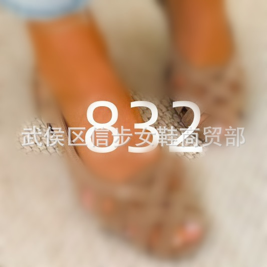 832 Export Cross-Border Cut Out Bird's Nest Sandals Women's Summer Fashion Flats Cut Out Breathable Hole Shoes 40-43