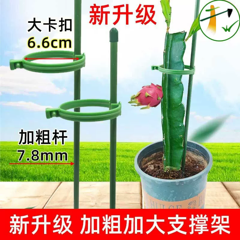 盆栽植物固定防倒伏护叶架月季花卉花枝扶持架多肉蝴蝶兰花支撑架