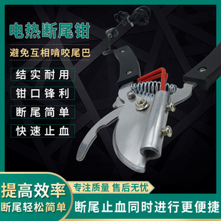 �F��늼ӟ��β�QС�i��β�͔�β��β���Q���P�С�i��β�Q���l
