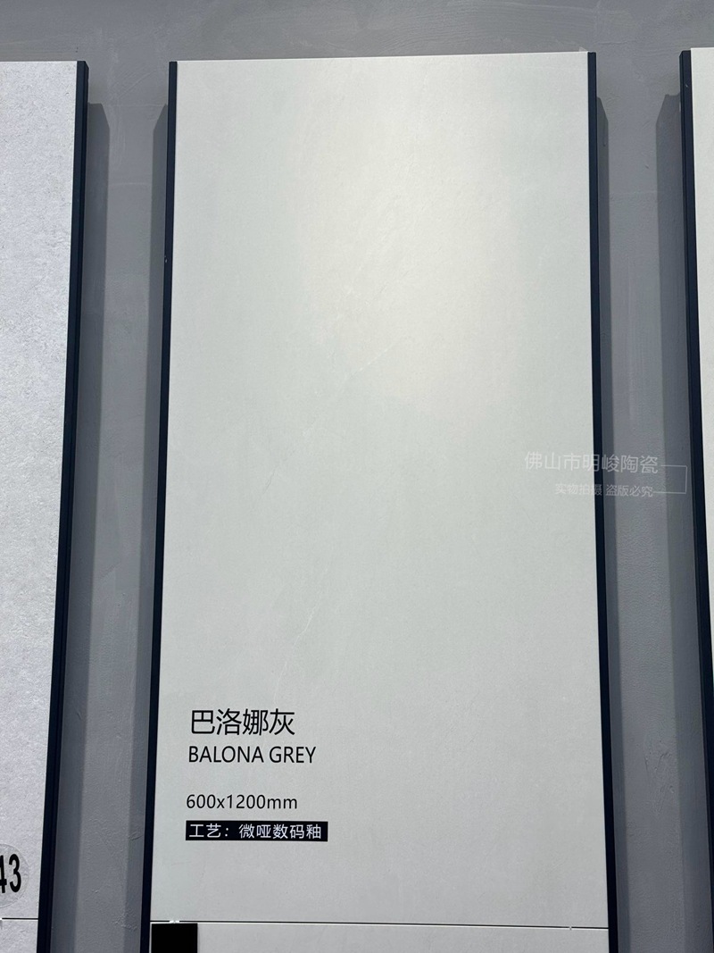 巴洛娜灰 (4).jpg