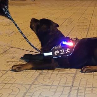 Dog Night Walking Light, Dog Walking Night Light, Night Warning Light, Tactical Vest, Night Light, Anti-Lost Labrador Large Dog