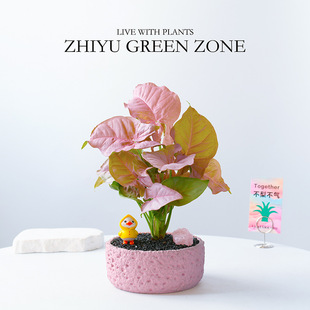 ��ɫ���������k���҃��������ֺ��Bֲ��͏d�Gֲ��w�≺����