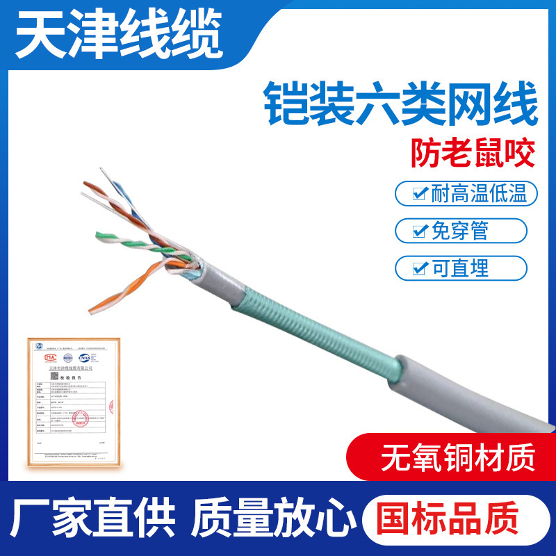 厂家阻燃铠装网线HSYV53铠装超五类家用屏蔽网线铠装屏蔽六类网线