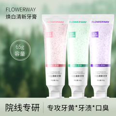 FLOWERWAY 焕白清新牙膏持久留香益生菌清新口气牙渍牙垢香水牙膏