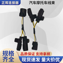 汽车摩托车线束 新能源 电源电子 设备防水可定连接器