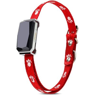 standby can talk, GPS Locator