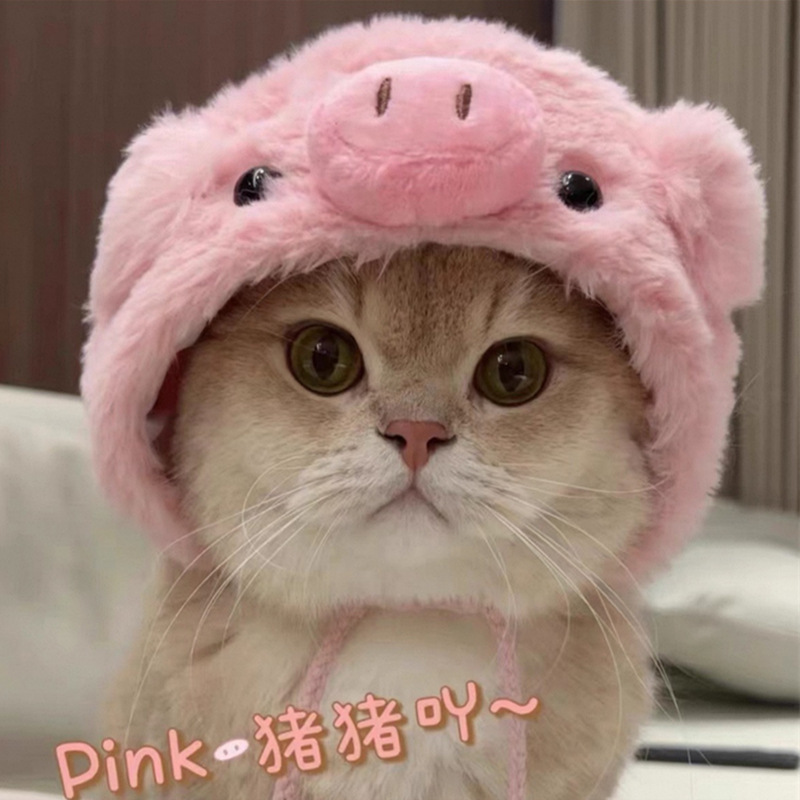 猫咪可爱兔子头套耳朵可立帽子网红英短可爱拍照小狗头饰宠物变装|undefined