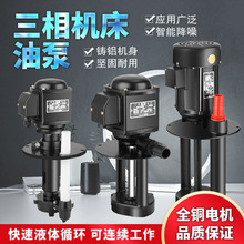DB ABJCB�C��ĥ���ͱ���s�þ��и�ѭ�h����늱�220V380V㊴�ˮ��