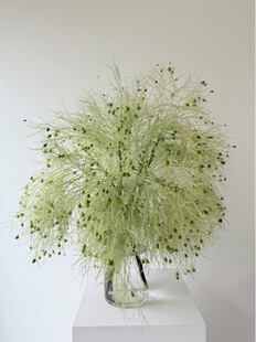 ��c���û�����z�r���J���ݵ��׻�c�F���������Ո��������r��