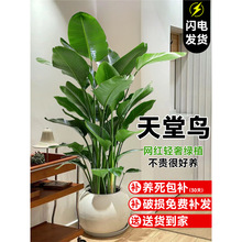 �����B�����Ԅ���ˮ��͏d�k���҃Ⱥ��B���;Gֲ�ļ����B���~ֲ��