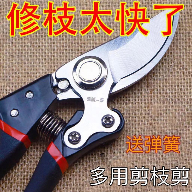 仿德国进口钢剪树剪子果树剪修枝剪刀家用苗圃修剪工具