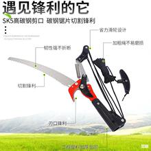 ��֦䏸�֦���^�ޟo�Լ��L��֦����s��݆��֦��֦���߿ռ�����