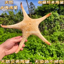 ��Ȼ���� ��������� �zӰ����С�Y��Ҿӵ�̨�N���b�Ʒ����[��