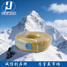 ��Դͨ UL1284 2/0AWG PVC ���� ���� ���� ������