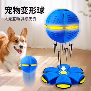 ����������˽␞������ħ���w����׃���_����������ߑ����\����