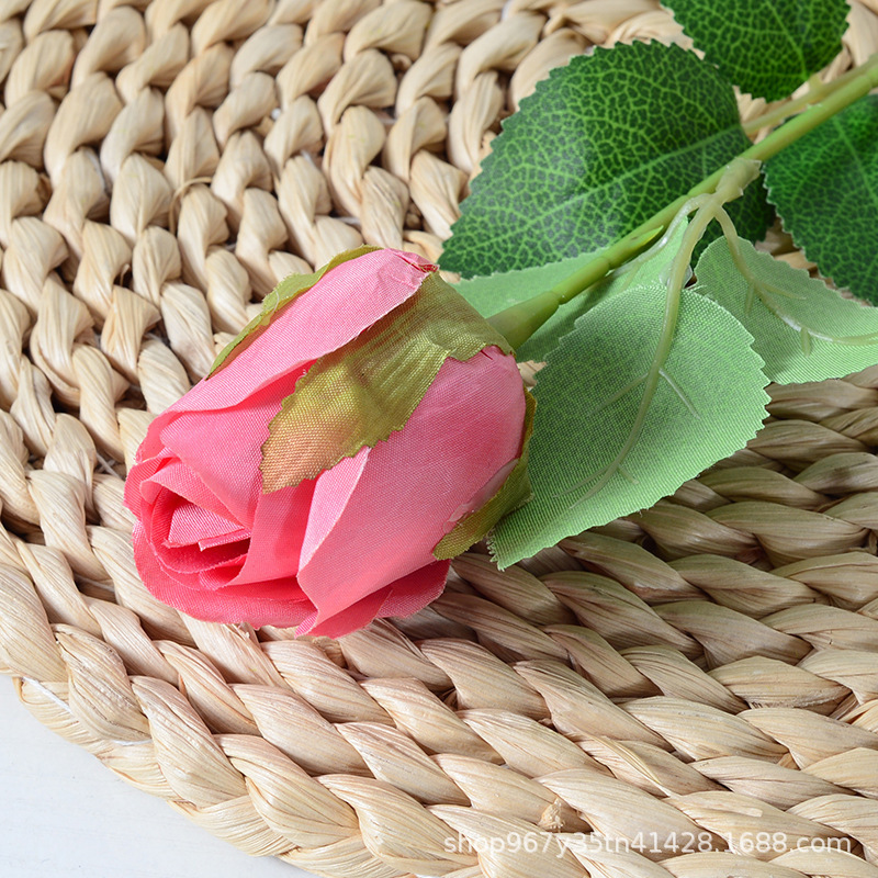 Lover Ray Watermelon Red