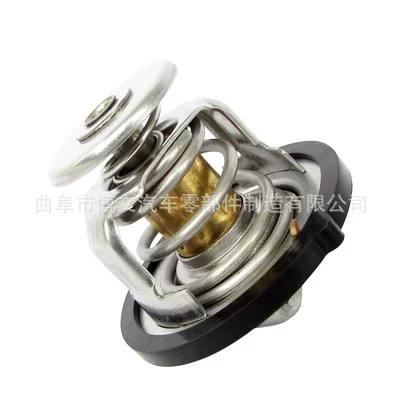 Thermostat 2550002500, Thermostat