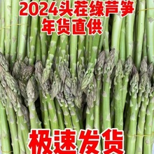 2024春生头茬新鲜绿芦笋去白根老根农场绿芦笋现采现发新鲜直达