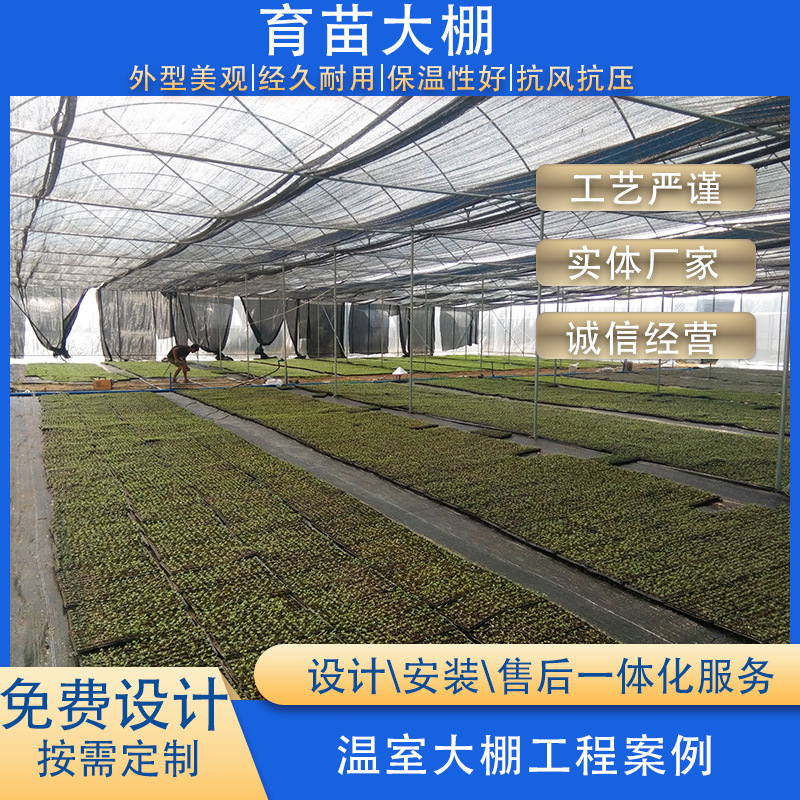 连栋育苗温室 蔬菜大棚 安装简单结构稳定采光效果好广东工厂供应