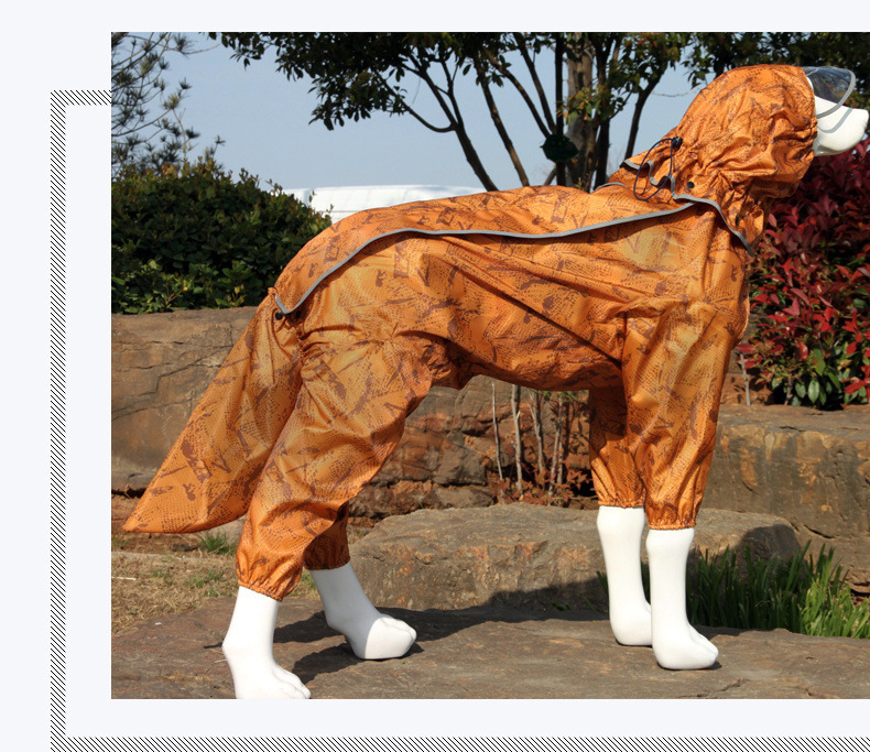 eb15c6c5-7b2f-40f3-889a-c1349e4764d2.jpe