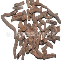 红三七,血三七,支柱蓼,大货批发中药材红三七