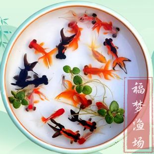 ��ˮ�W�^�~�^�p�~�ͻ��ͺ������BС���~�������۾����\���^�{���^