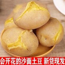 �SƤ����10/5�����l�߲ˬF���R�������ǼtƤ�낀