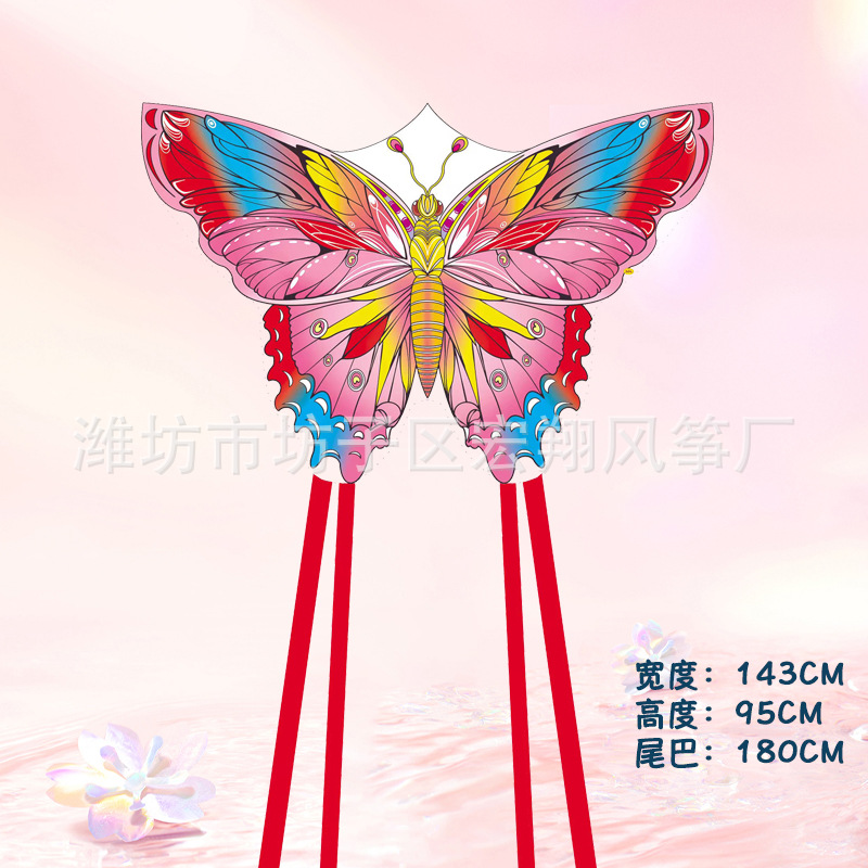 1.44m 특별한 모양의 흰나비