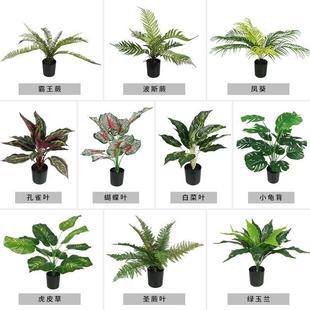 �����辰�͏d�b�������ϼٻ��[�O����ֲ��С��������GֲС����