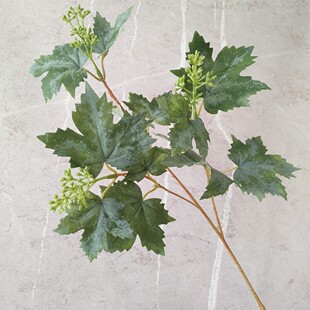 �����֦���~�����~��������؛Դ�ҾӘӰ��g�b�ֲ���~�ļٻ����l