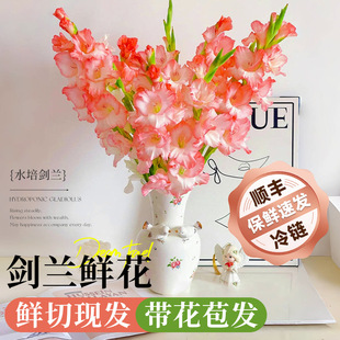 ۫�Z���m�r����ϻ���ֱ�lõ��ٺϻ��ܼ��ò廨�r�л��滨���L��